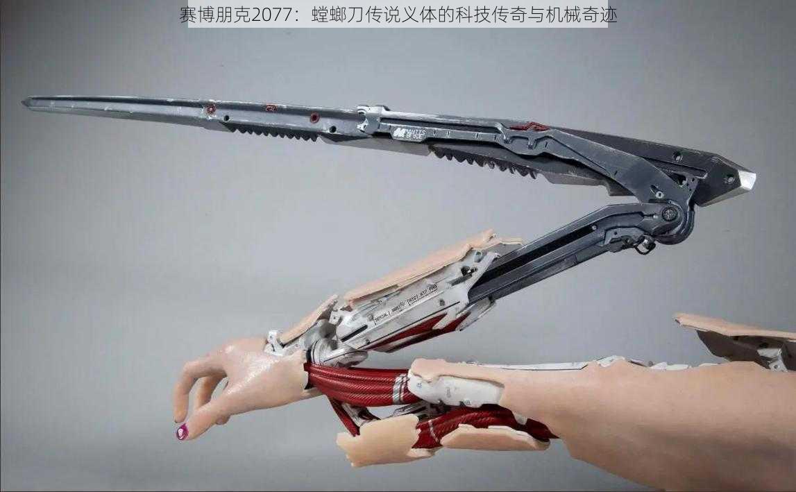 赛博朋克2077：螳螂刀传说义体的科技传奇与机械奇迹