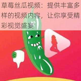 草莓丝瓜视频：提供丰富多样的视频内容，让你享受精彩视觉盛宴