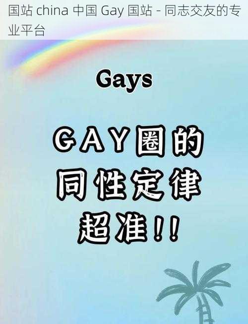 国站 china 中国 Gay 国站 - 同志交友的专业平台