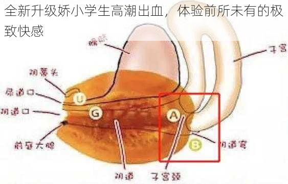 全新升级娇小学生高潮出血，体验前所未有的极致快感