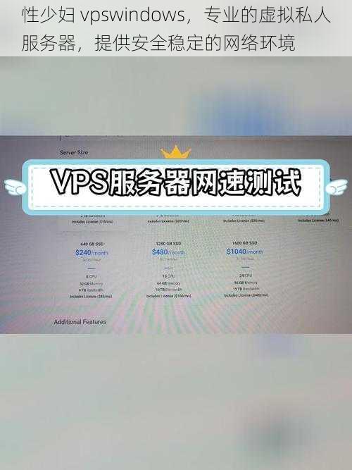 性少妇 vpswindows，专业的虚拟私人服务器，提供安全稳定的网络环境