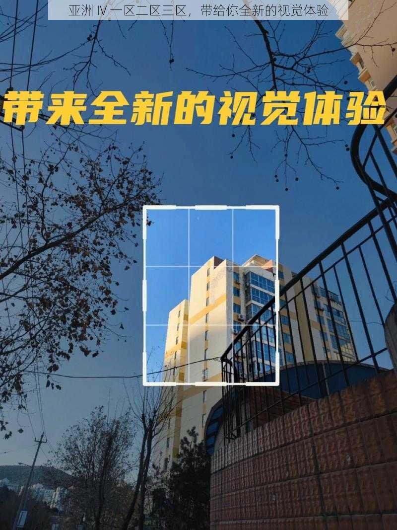 亚洲 IV 一区二区三区，带给你全新的视觉体验