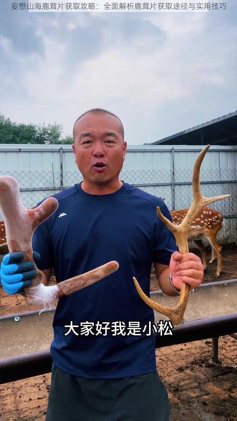 妄想山海鹿茸片获取攻略：全面解析鹿茸片获取途径与实用技巧