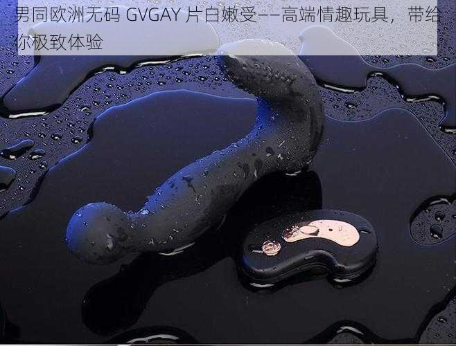 男同欧洲无码 GVGAY 片白嫩受——高端情趣玩具，带给你极致体验