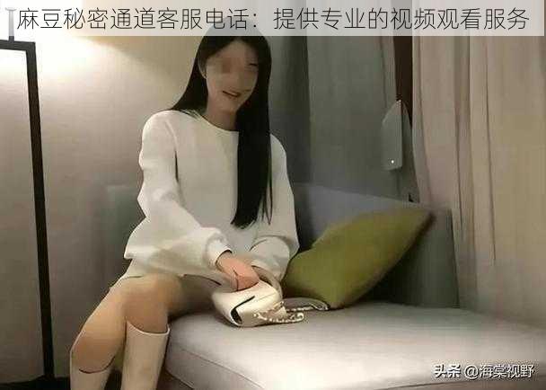 麻豆秘密通道客服电话：提供专业的视频观看服务