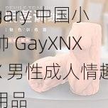 gary 中国小帅 GayXNXX 男性成人情趣用品