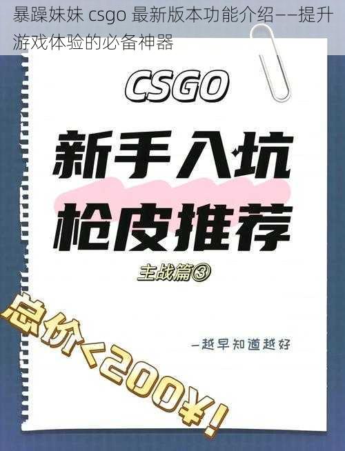 暴躁妹妹 csgo 最新版本功能介绍——提升游戏体验的必备神器