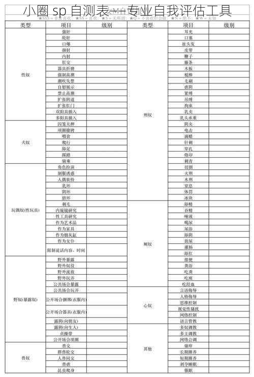 小圈 sp 自测表——专业自我评估工具