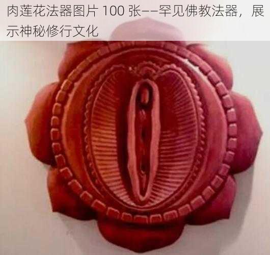 肉莲花法器图片 100 张——罕见佛教法器，展示神秘修行文化