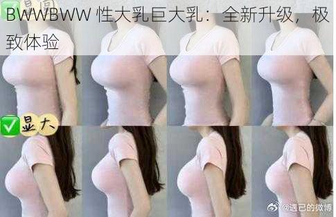 BWWBWW 性大乳巨大乳：全新升级，极致体验