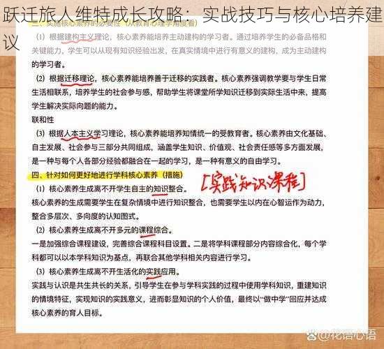 跃迁旅人维特成长攻略：实战技巧与核心培养建议