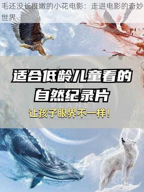 毛还没长稚嫩的小花电影：走进电影的奇妙世界