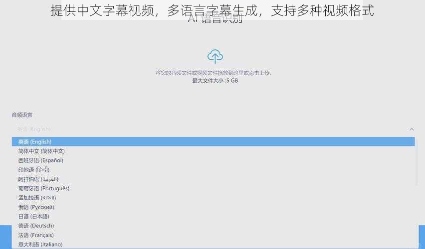 提供中文字幕视频，多语言字幕生成，支持多种视频格式