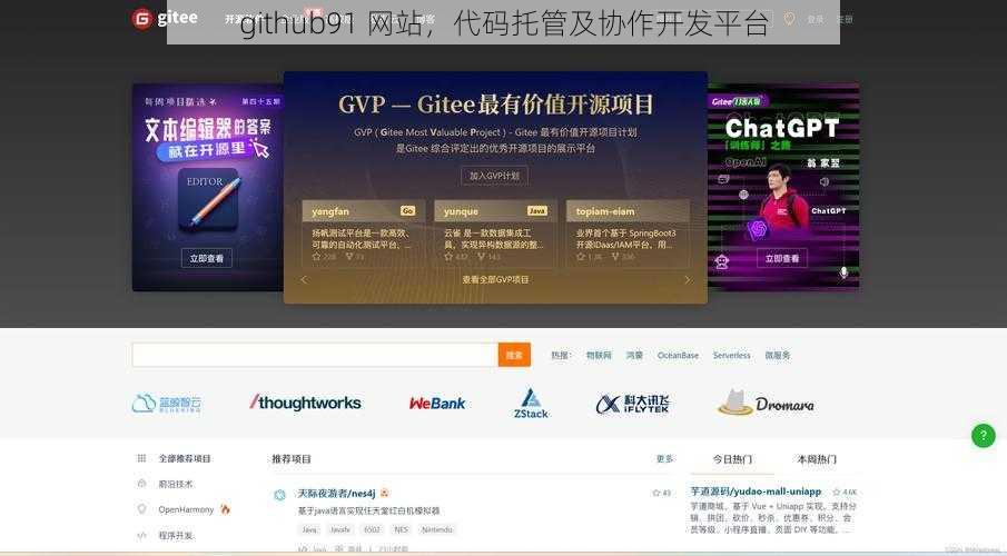 github91 网站，代码托管及协作开发平台