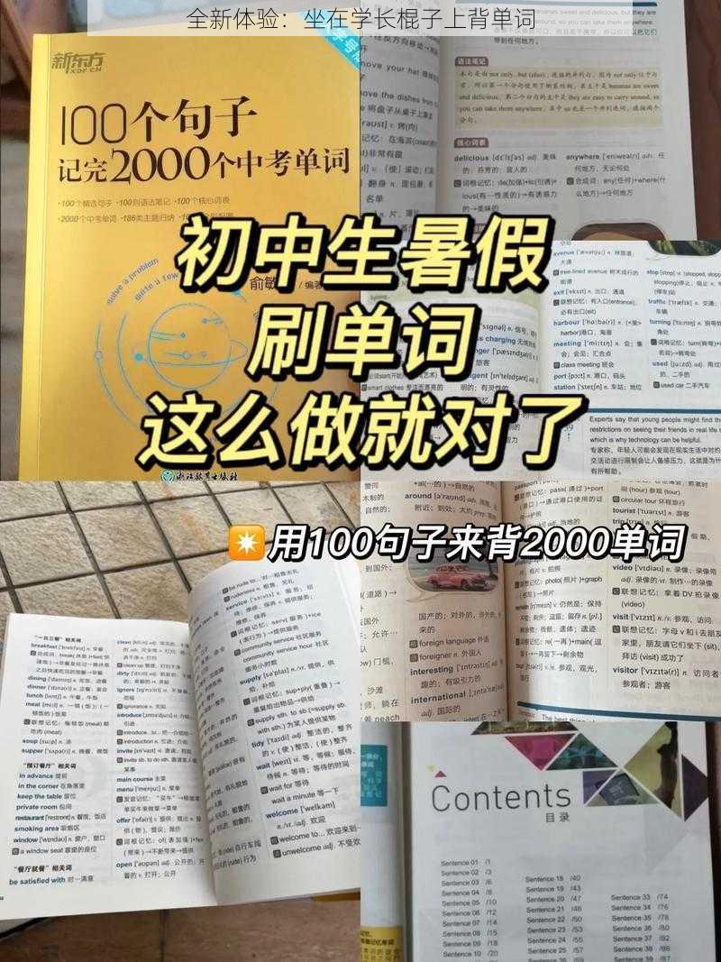 全新体验：坐在学长棍子上背单词