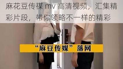 麻花豆传禖 mv 高清视频，汇集精彩片段，带你领略不一样的精彩