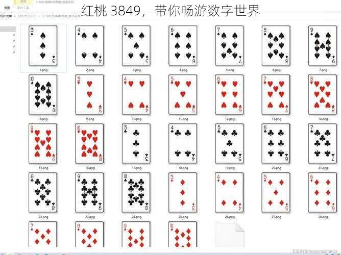 红桃 3849，带你畅游数字世界