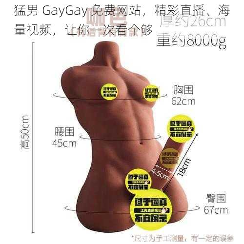 猛男 GayGay 免费网站，精彩直播、海量视频，让你一次看个够