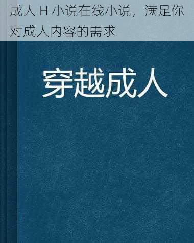 成人 H 小说在线小说，满足你对成人内容的需求