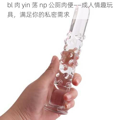 bl 肉 yin 荡 np 公厕肉便——成人情趣玩具，满足你的私密需求