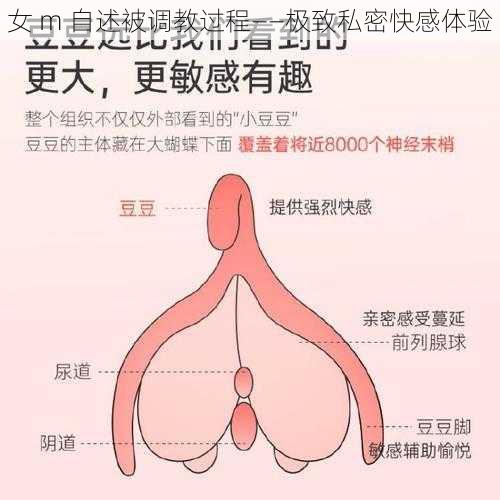 女 m 自述被调教过程——极致私密快感体验