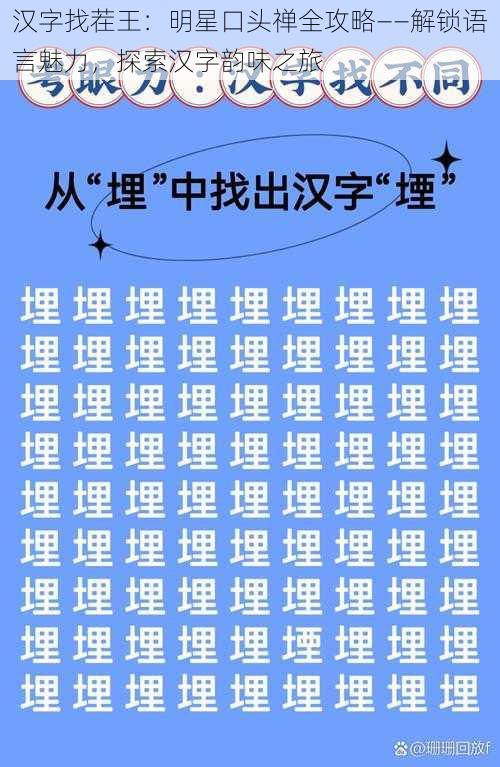 汉字找茬王：明星口头禅全攻略——解锁语言魅力，探索汉字韵味之旅