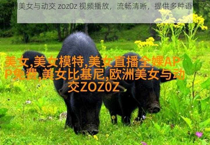 欧洲美女与动交 zoz0z 视频播放，流畅清晰，提供多种语言字幕