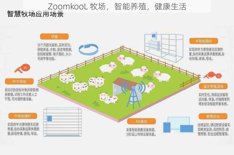 ZoomkooL 牧场，智能养殖，健康生活