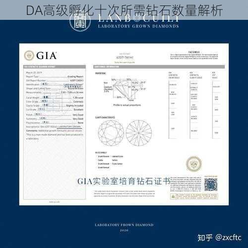 DA高级孵化十次所需钻石数量解析