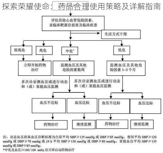 探索荣耀使命：药品合理使用策略及详解指南