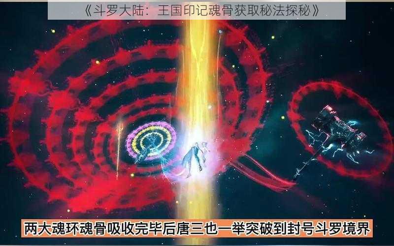 《斗罗大陆：王国印记魂骨获取秘法探秘》