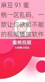 麻豆 91 蜜桃一区乱码，一款让你欲罢不能的视频播放软件