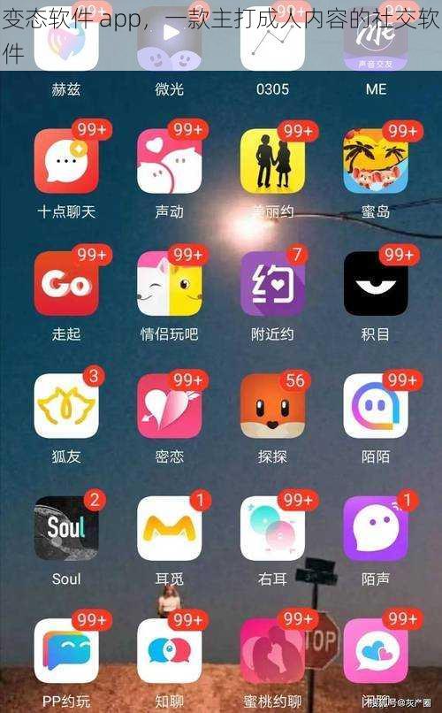 变态软件 app，一款主打成人内容的社交软件