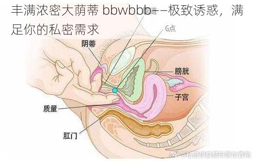 丰满浓密大荫蒂 bbwbbb——极致诱惑，满足你的私密需求