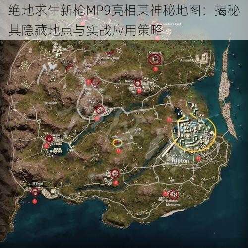 绝地求生新枪MP9亮相某神秘地图：揭秘其隐藏地点与实战应用策略