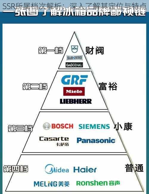 SSR所属档次解析：深入了解其定位与特点