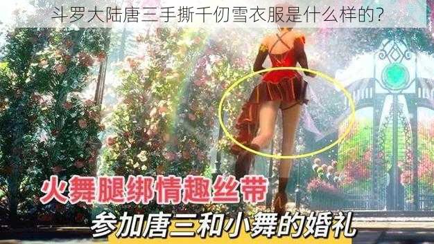 斗罗大陆唐三手撕千仞雪衣服是什么样的？