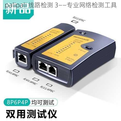 palipali 线路检测 3——专业网络检测工具