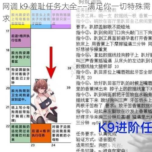 网调 k9 羞耻任务大全——满足你一切特殊需求