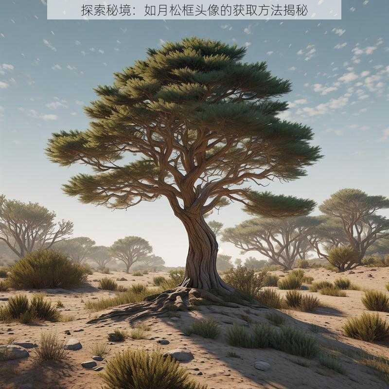 探索秘境：如月松框头像的获取方法揭秘