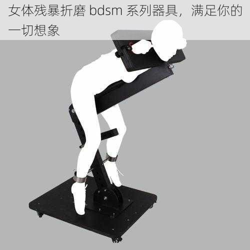 女体残暴折磨 bdsm 系列器具，满足你的一切想象