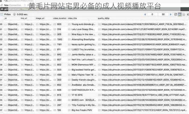 黄毛片网站宅男必备的成人视频播放平台