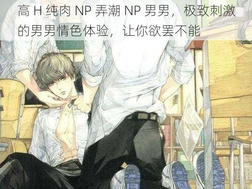 高 H 纯肉 NP 弄潮 NP 男男，极致刺激的男男情色体验，让你欲罢不能