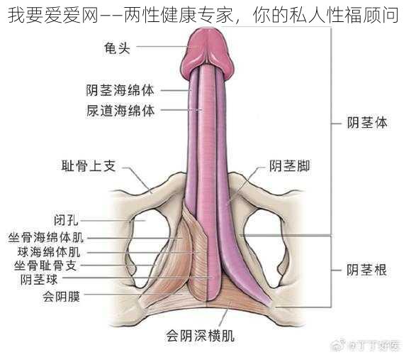 我要爱爱网——两性健康专家，你的私人性福顾问