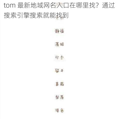 tom 最新地域网名入口在哪里找？通过搜索引擎搜索就能找到