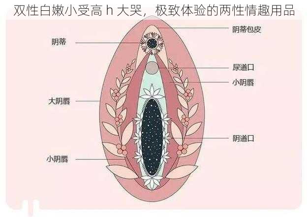 双性白嫩小受高 h 大哭，极致体验的两性情趣用品