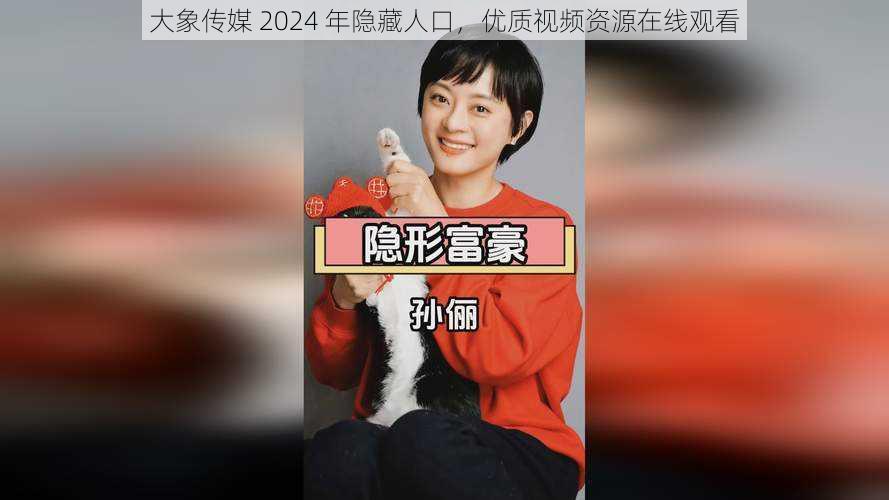 大象传媒 2024 年隐藏人口，优质视频资源在线观看