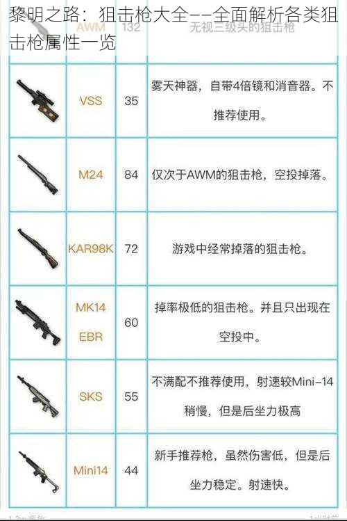 黎明之路：狙击枪大全——全面解析各类狙击枪属性一览