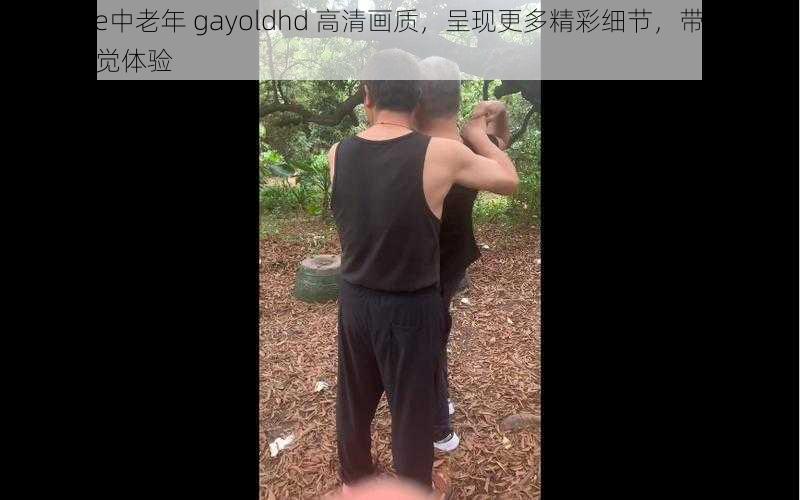 chinese中老年 gayoldhd 高清画质，呈现更多精彩细节，带来不一样的视觉体验