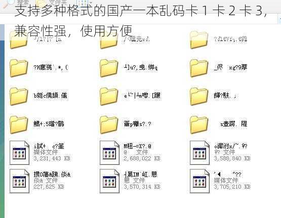 支持多种格式的国产一本乱码卡 1 卡 2 卡 3，兼容性强，使用方便